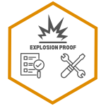 Ex Inspection Icon